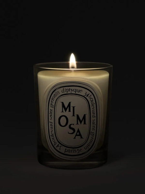 Mimosa - Candela classica
