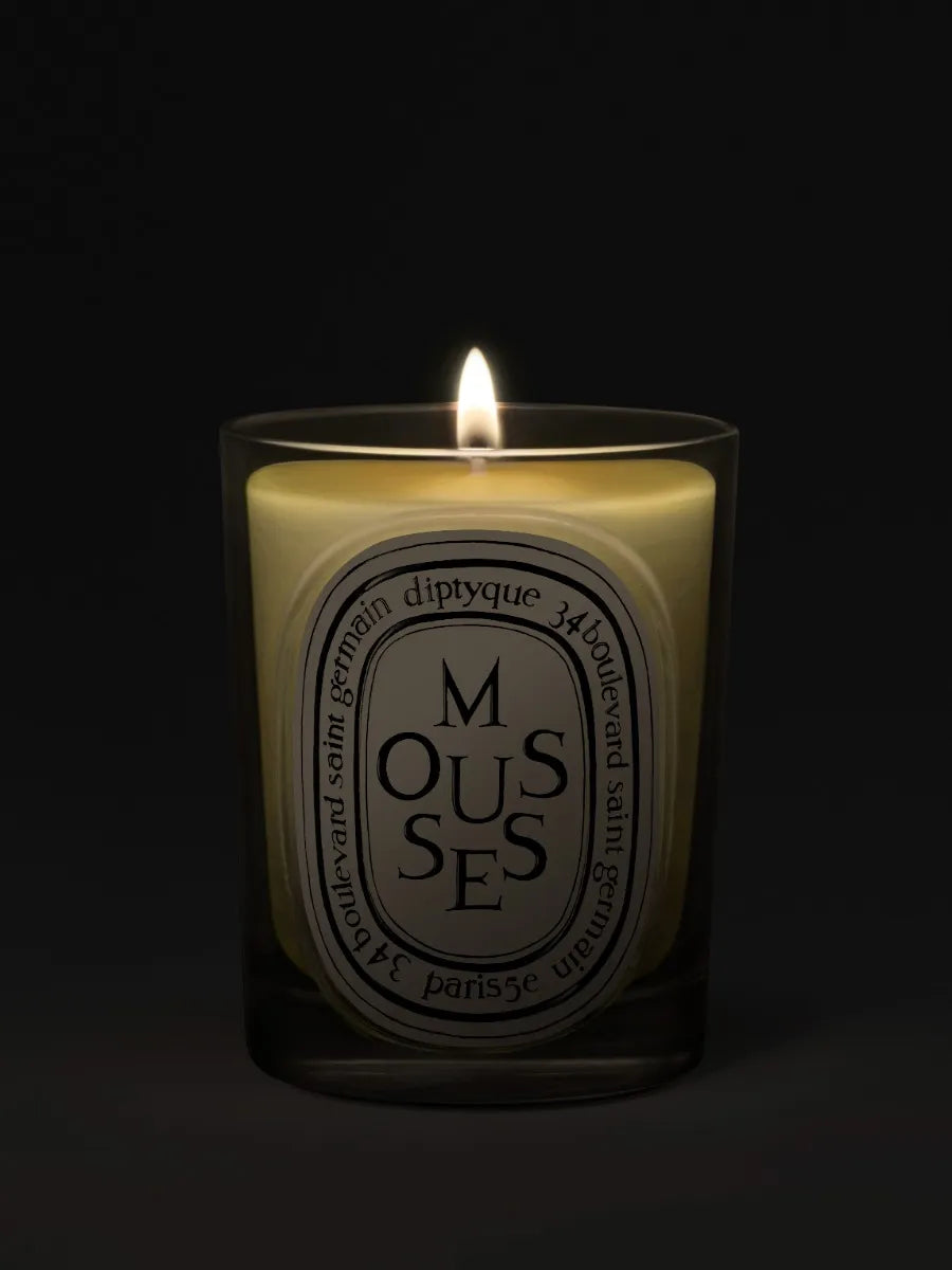 Mousses (Moose) - Klassische Kerze