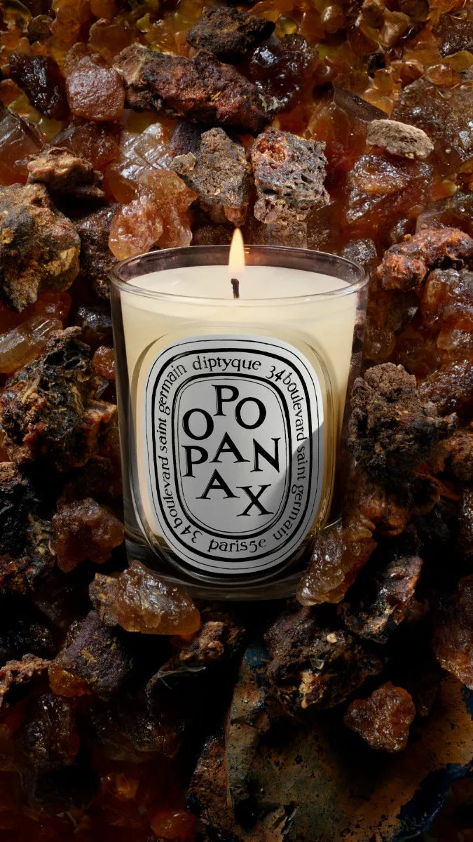 Opopanax - Classic Candle – Diptyque Opopanax - Classic Candle – Diptyque
