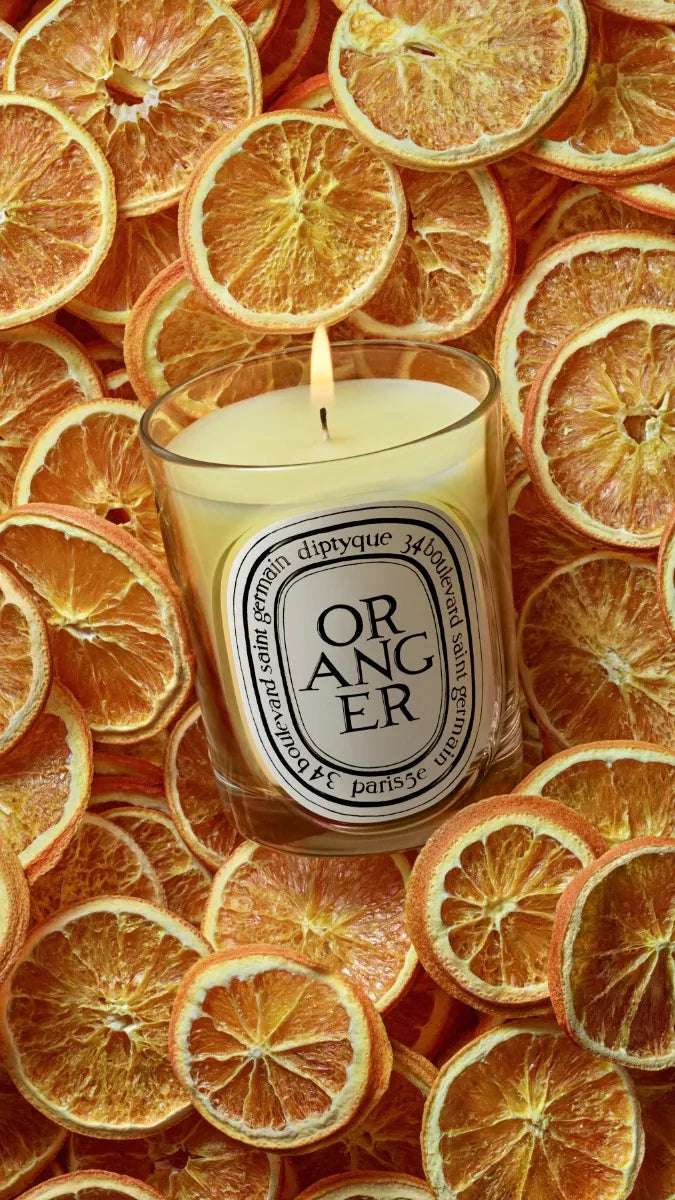 Oranger (Orangenbaum) - Klassische Kerze