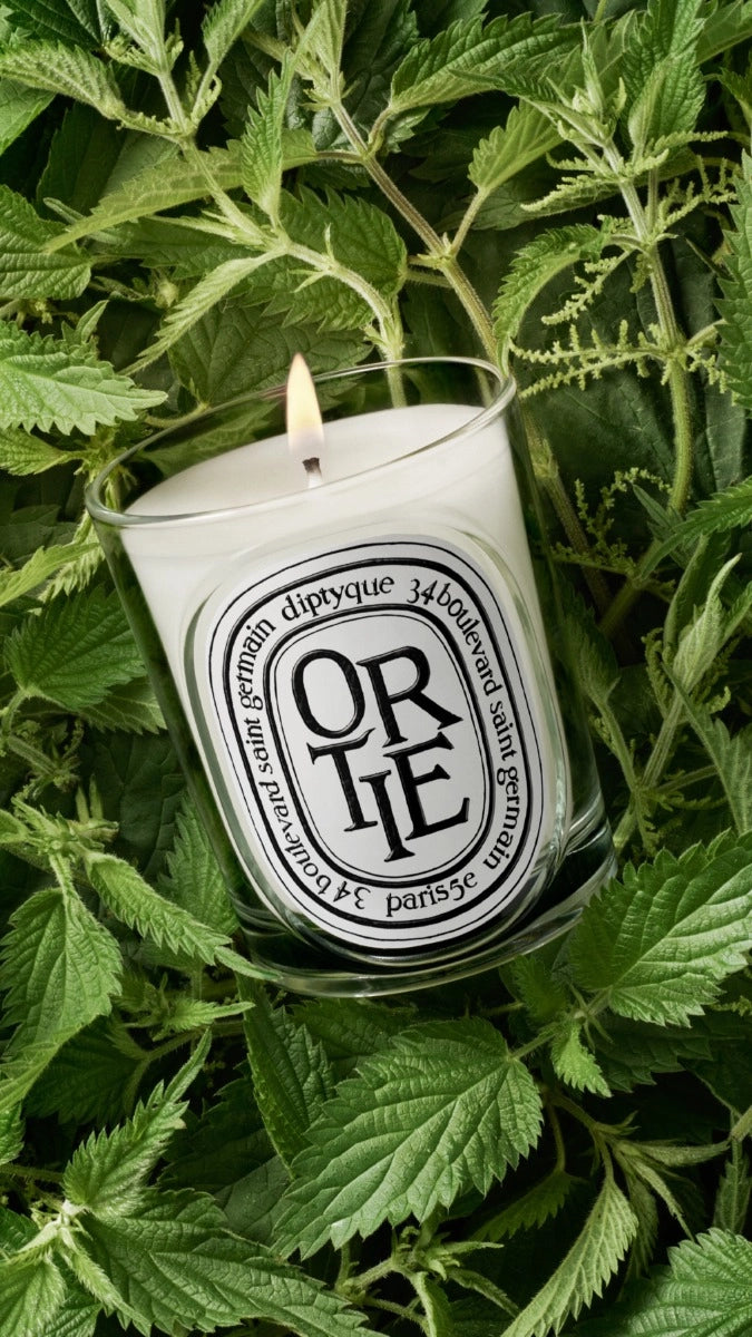 Ortie (Nettle) - Classic Candle