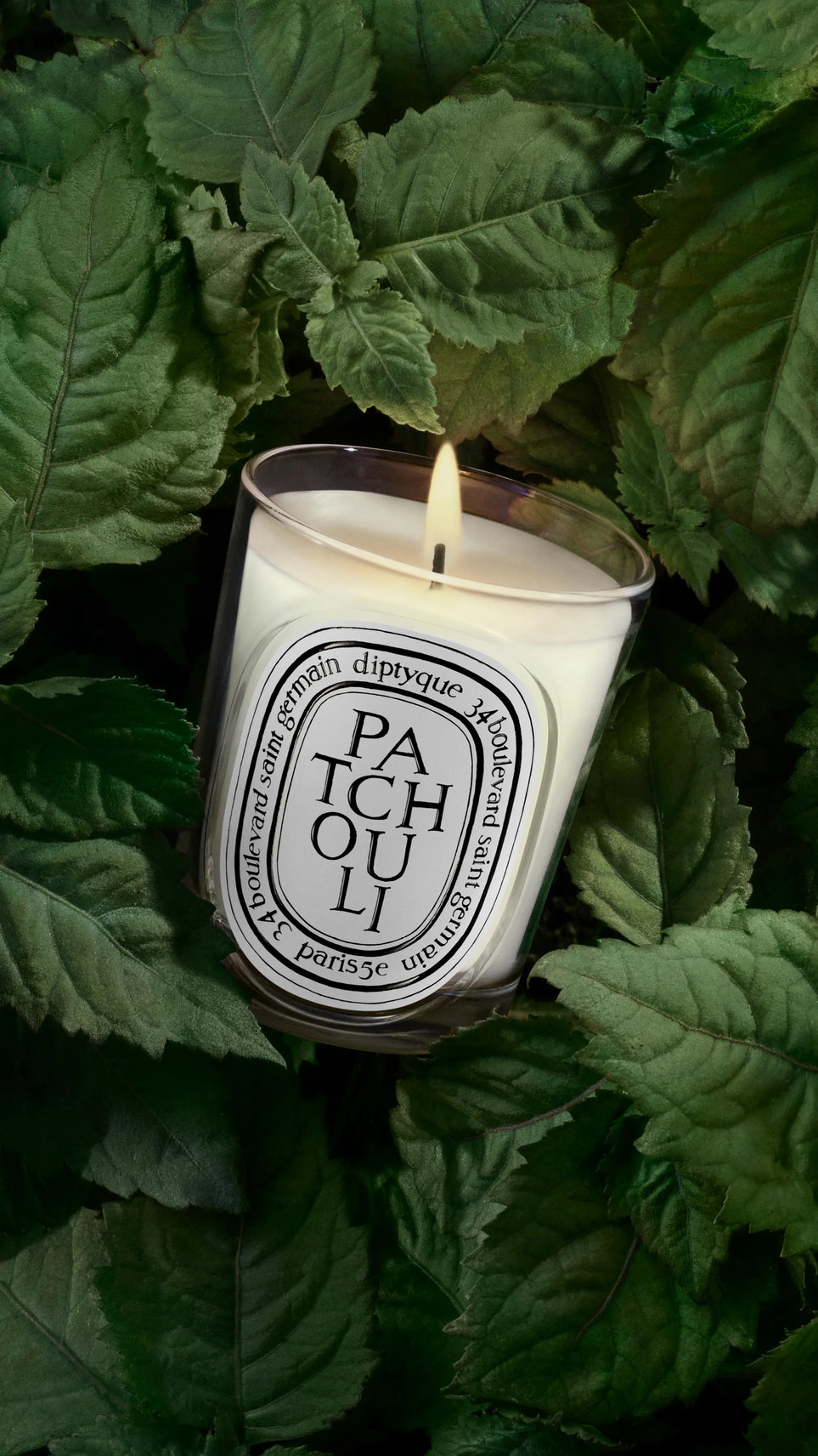 Patchouli (Patschuli) - Klassische Kerze