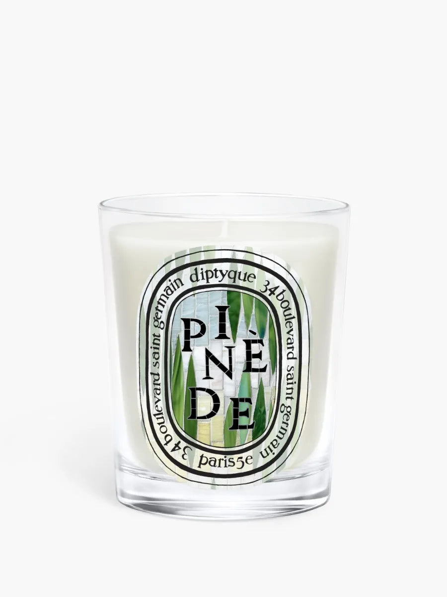 Pinède (Pinienwald) - Klassische Kerze