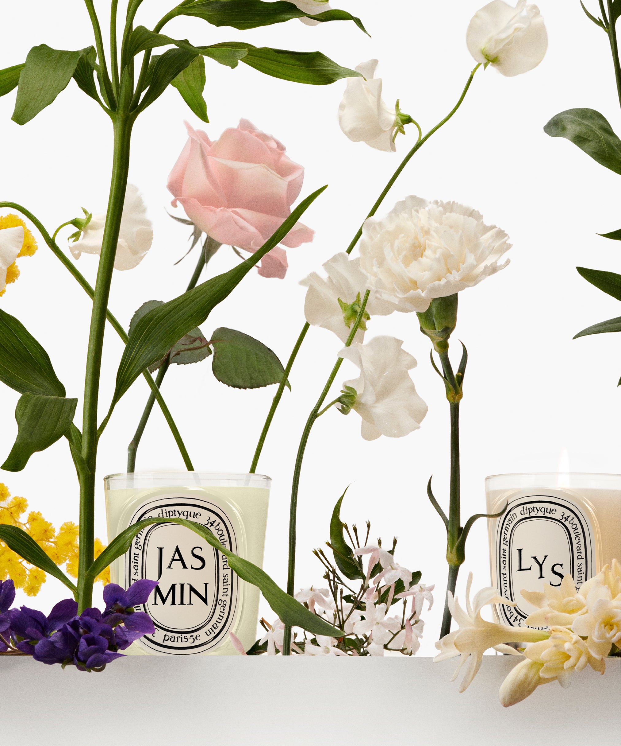 The Herbarium of Scents – Diptyque
