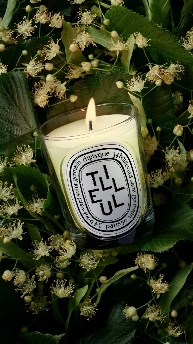Tilleul (Linden Tree) - Classic Candle – Diptyque