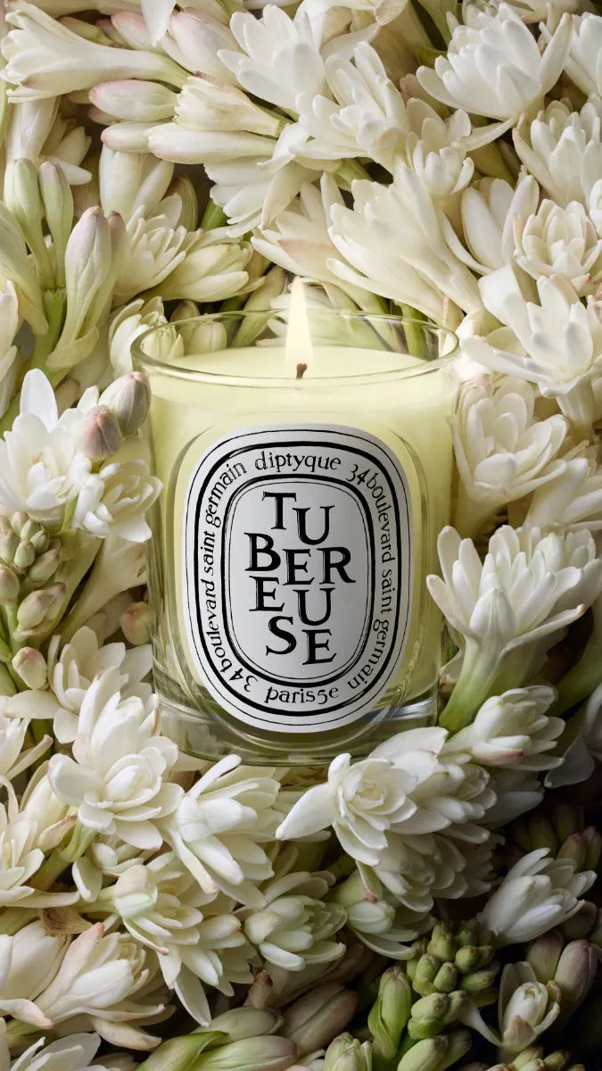 Tubéreuse (Tuberose) - Classic Candle – Diptyque