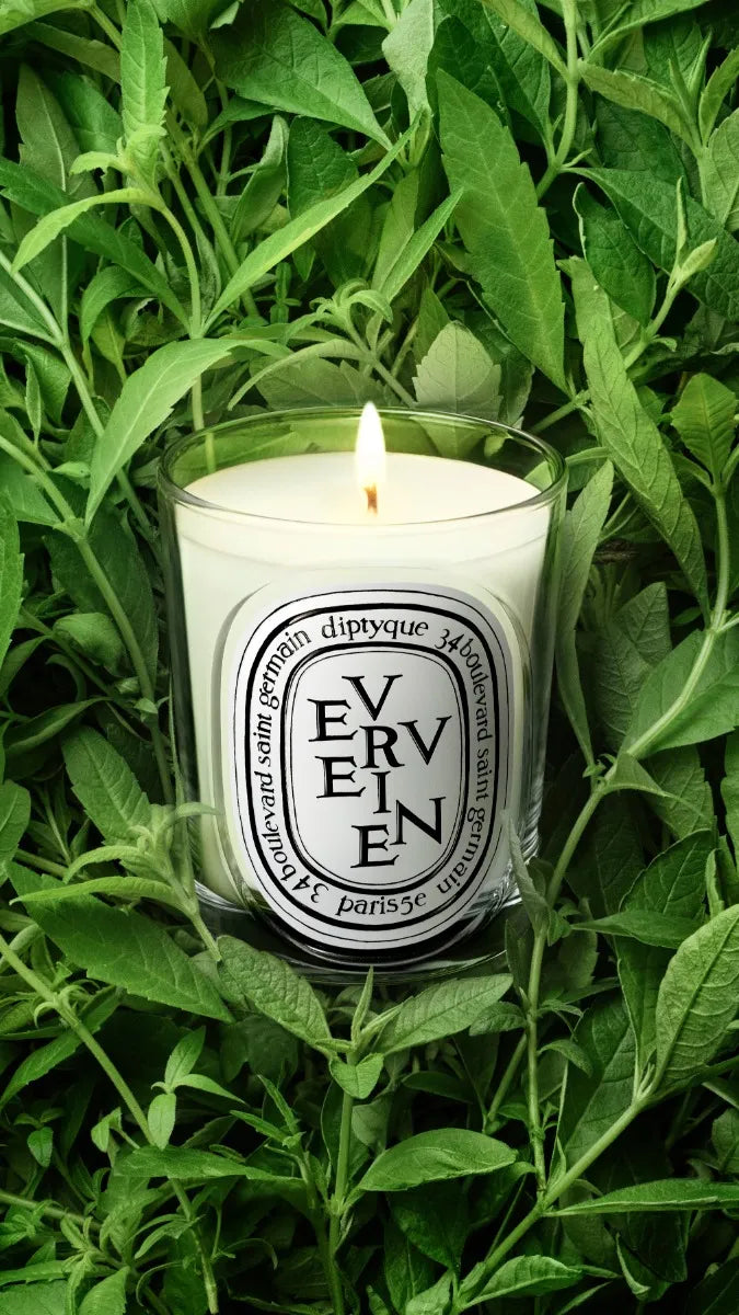Verveine (Eisenkraut) - Klassische Kerze