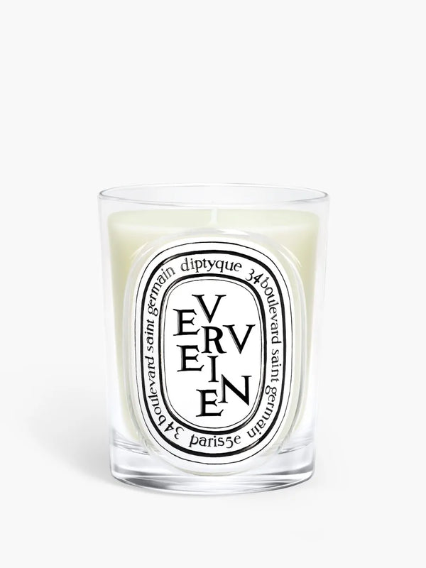 Verveine (Verbena) - Candela classica