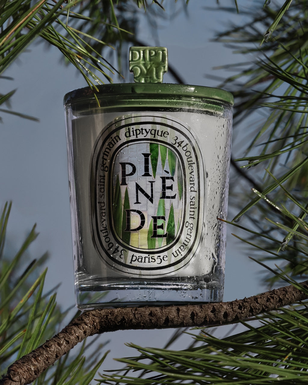 Matchbox - Pinède design – Diptyque