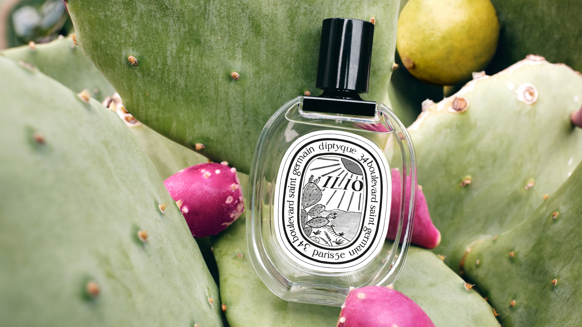The Herbarium of Scents – Diptyque
