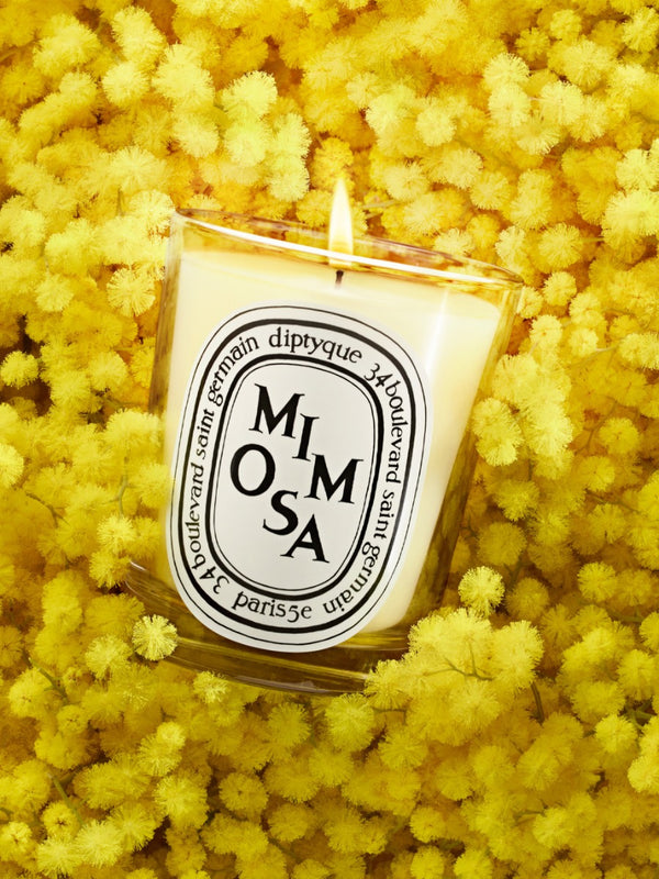 Mimosa - Small Candle
