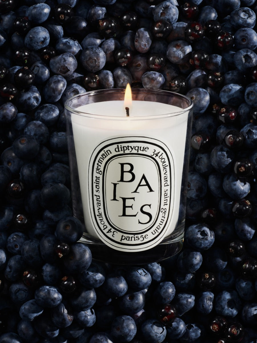 Baies (Berries) - Small Candle