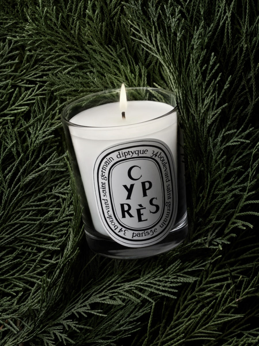 新品未使用　未開封　diptyque CYPRES candle 190g herbier_visuel_cypres-