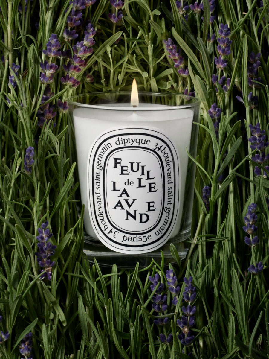 Feuille de Lavande (Lavender Leaf) - Small Candle