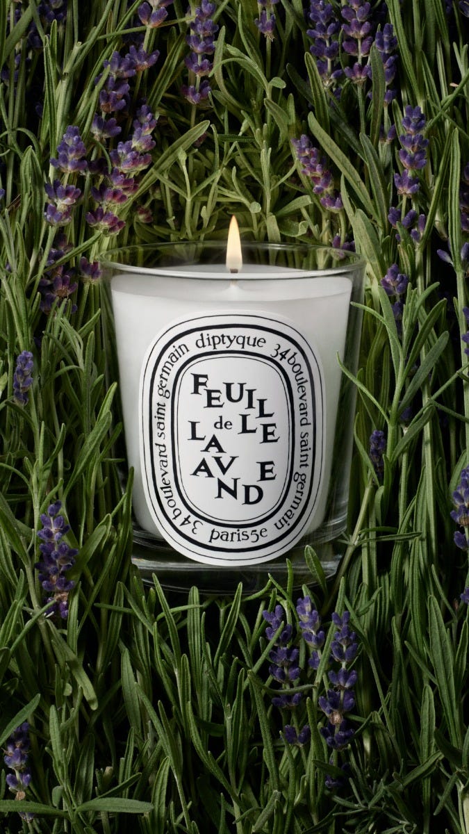 Feuille de Lavande (Lavender Leaf) - Small Candle – Diptyque