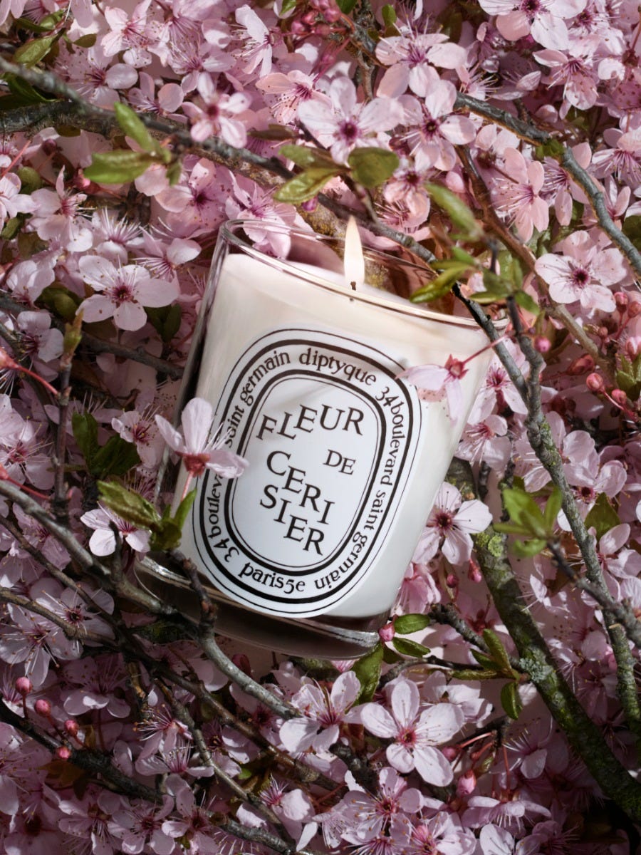 Fleur De Cerisier (Kirschblüte) - Klassische Kerze