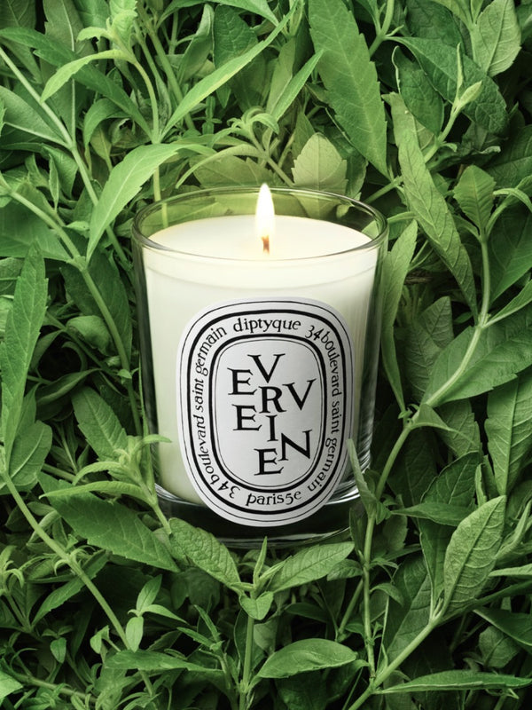 Verveine (Lemon Verbena Scented) - Small Candle