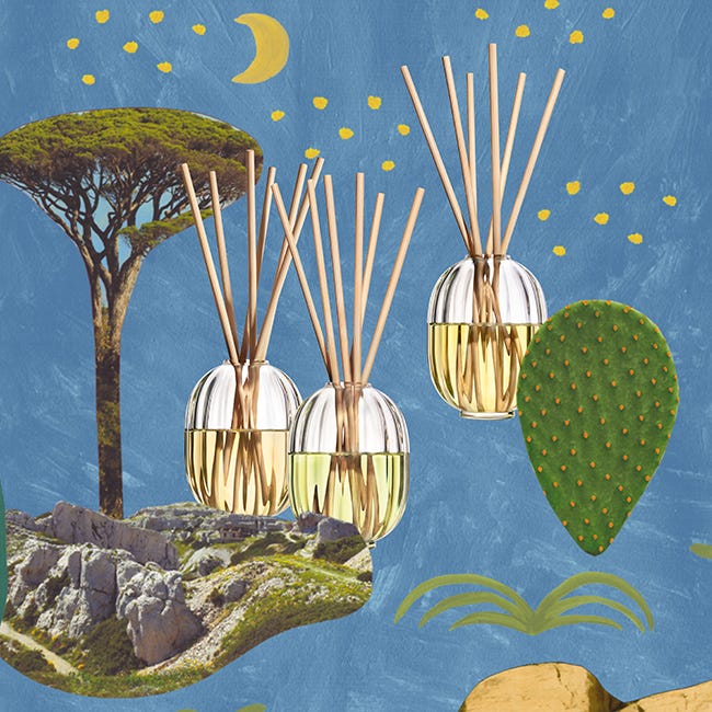 Citronnelle (Citronella) - Diffusore di fragranze per la casa