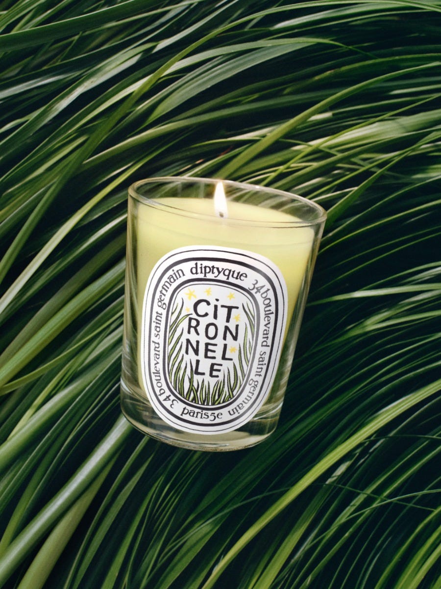 Citronnelle (Citronella) - Candela classica