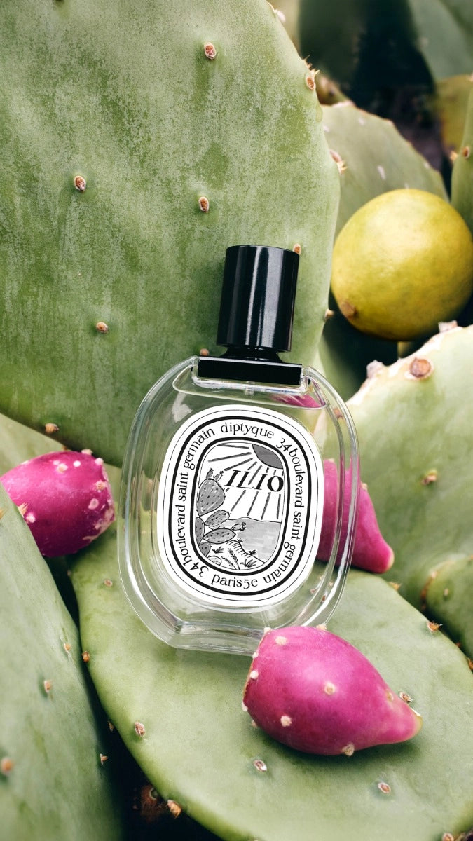 Ilio - Eau de toilette – Diptyque Ilio - Eau de toilette – Diptyque