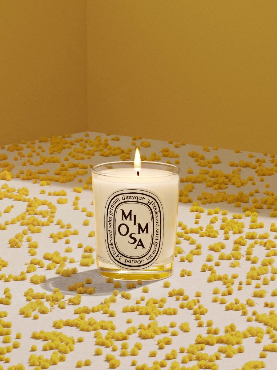 Mimosa（ミモザ） - スモールキャンドル スモール | Diptyque Paris