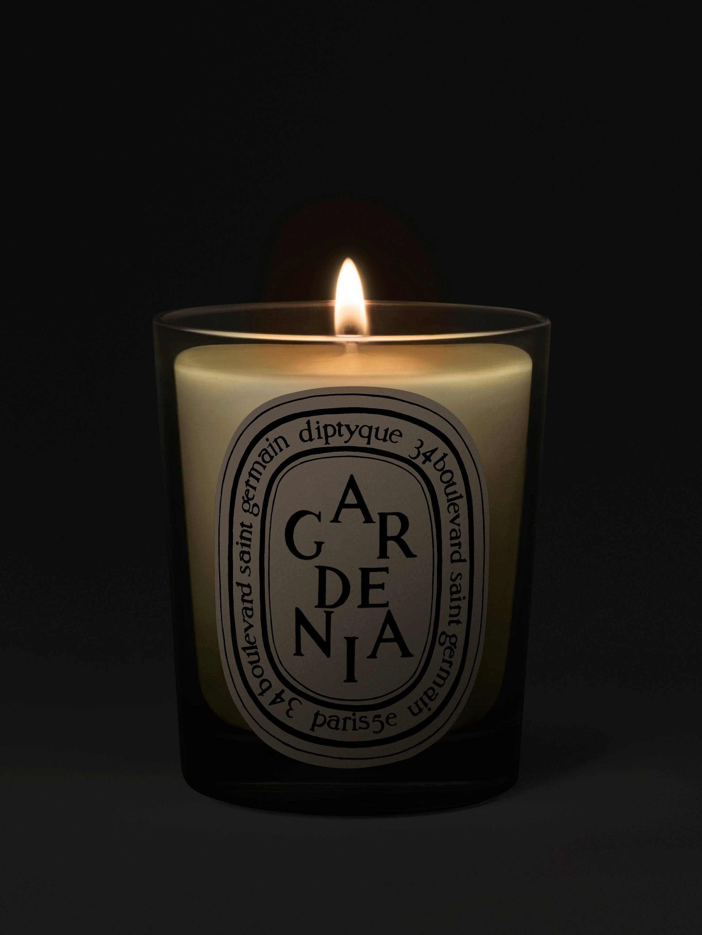 Classic Scented Candles 190g | diptyque Paris Official