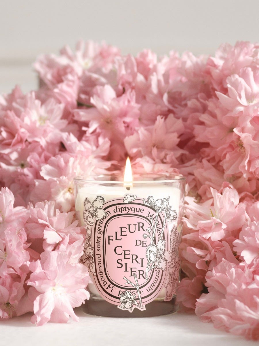 Fleur de Cerisier (Cherry Blossom) - Classic candle Classic 