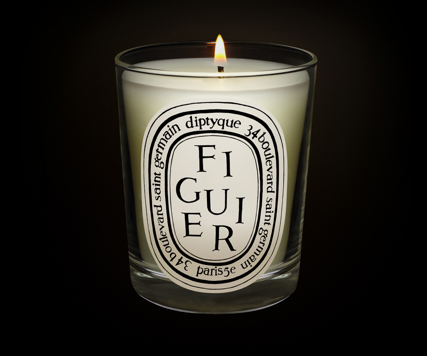 Figuier (Fig Tree) - Classic Candle